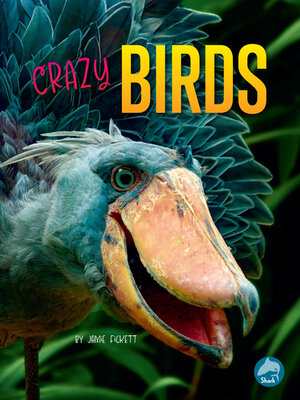 cover image of Crazy Birds